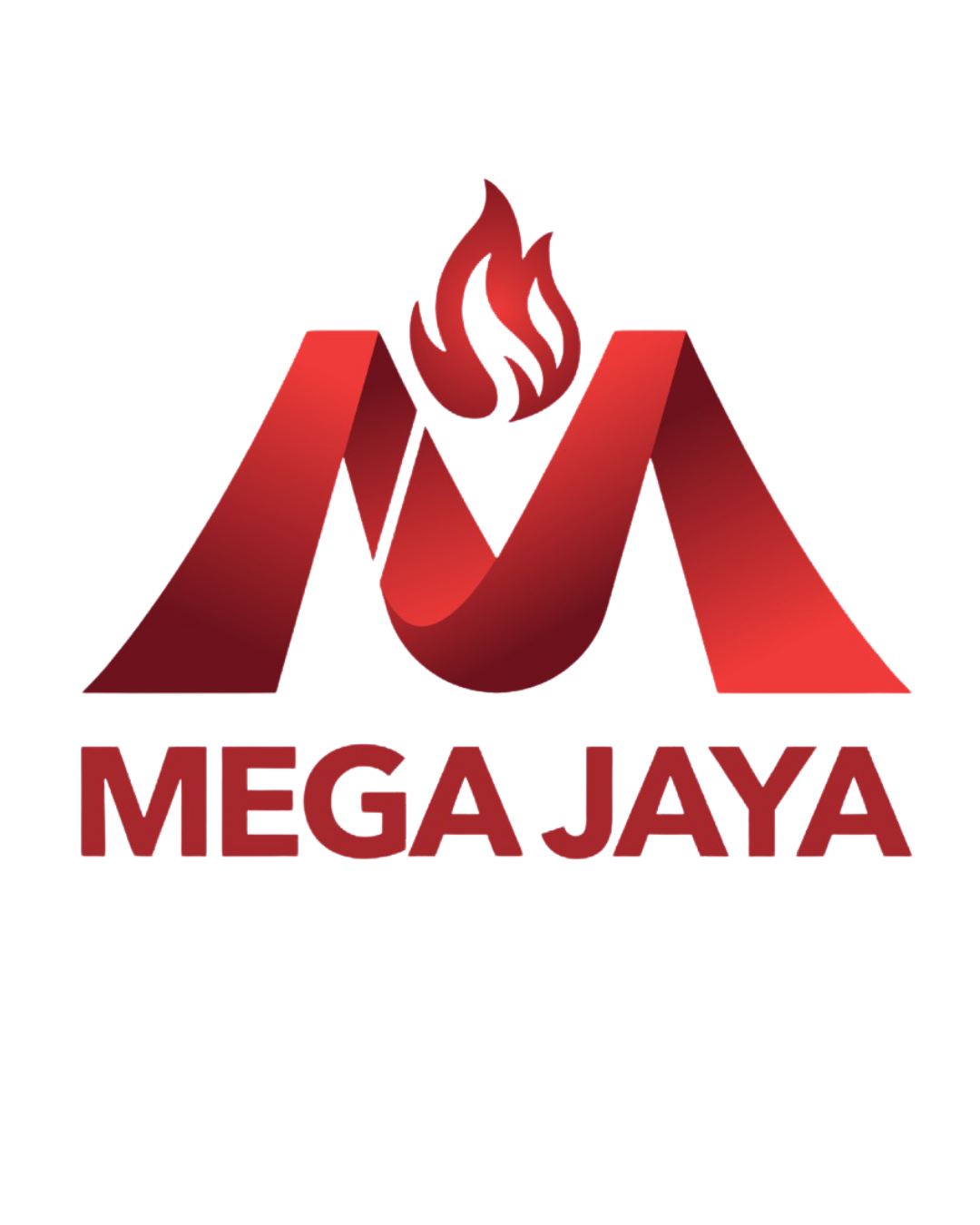 Customer Logo 11